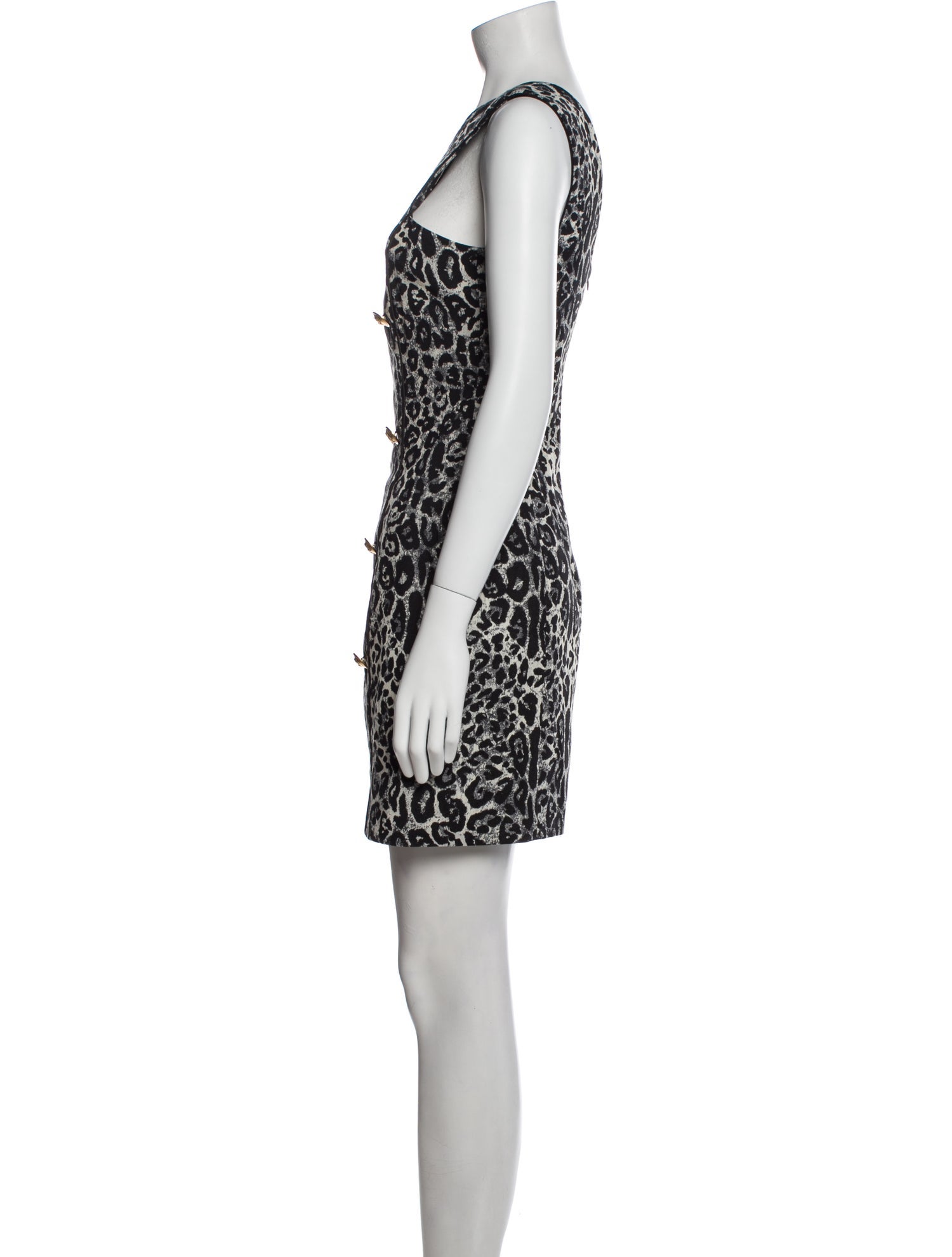 Dundas Animal Print Mini Dress