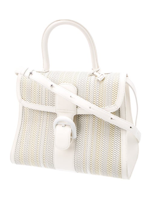 Delvaux Woven Lé Brillant MM w/ Strap