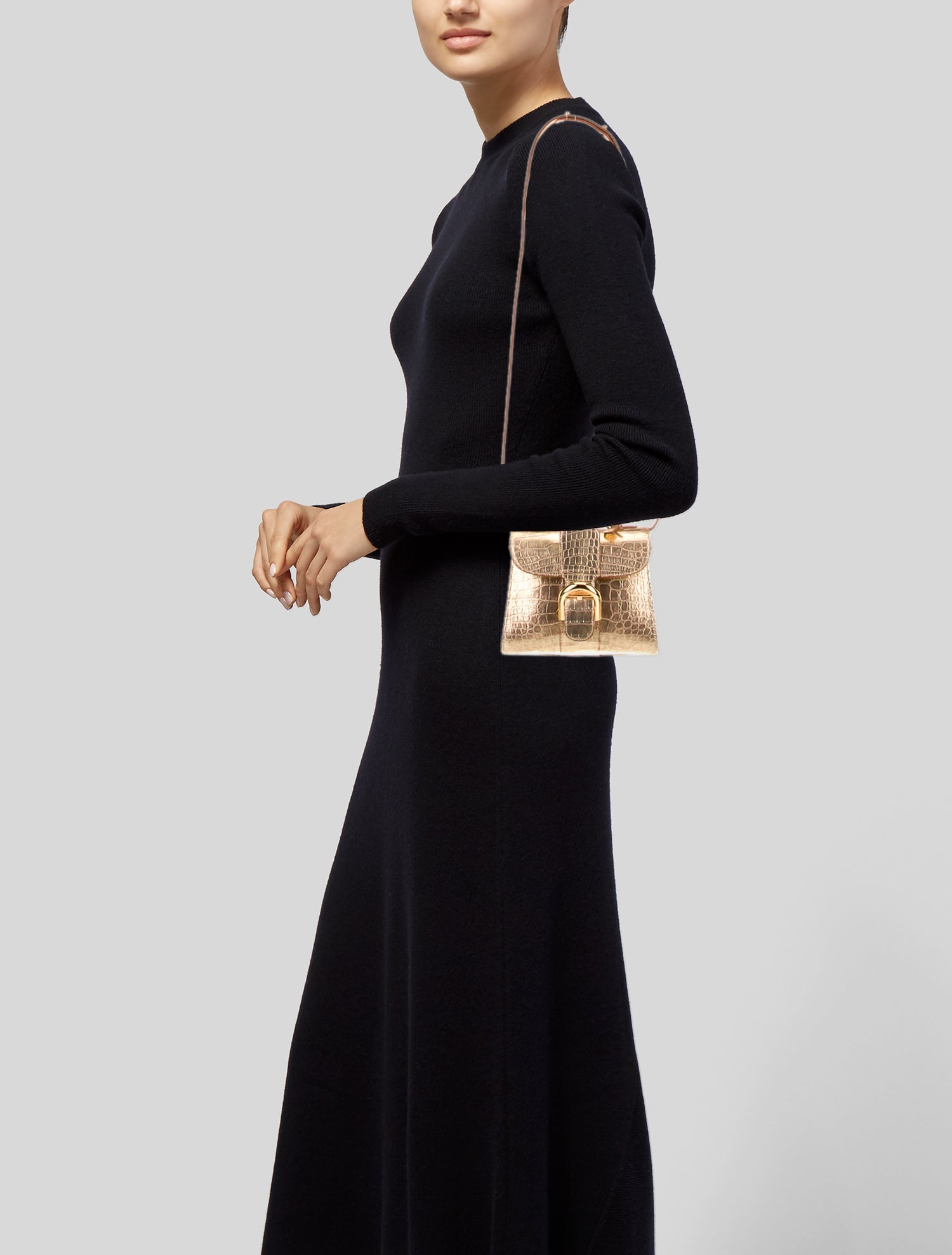 Delvaux Alligator Brillant Mini