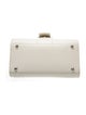 Delvaux Leather Brillant Mini