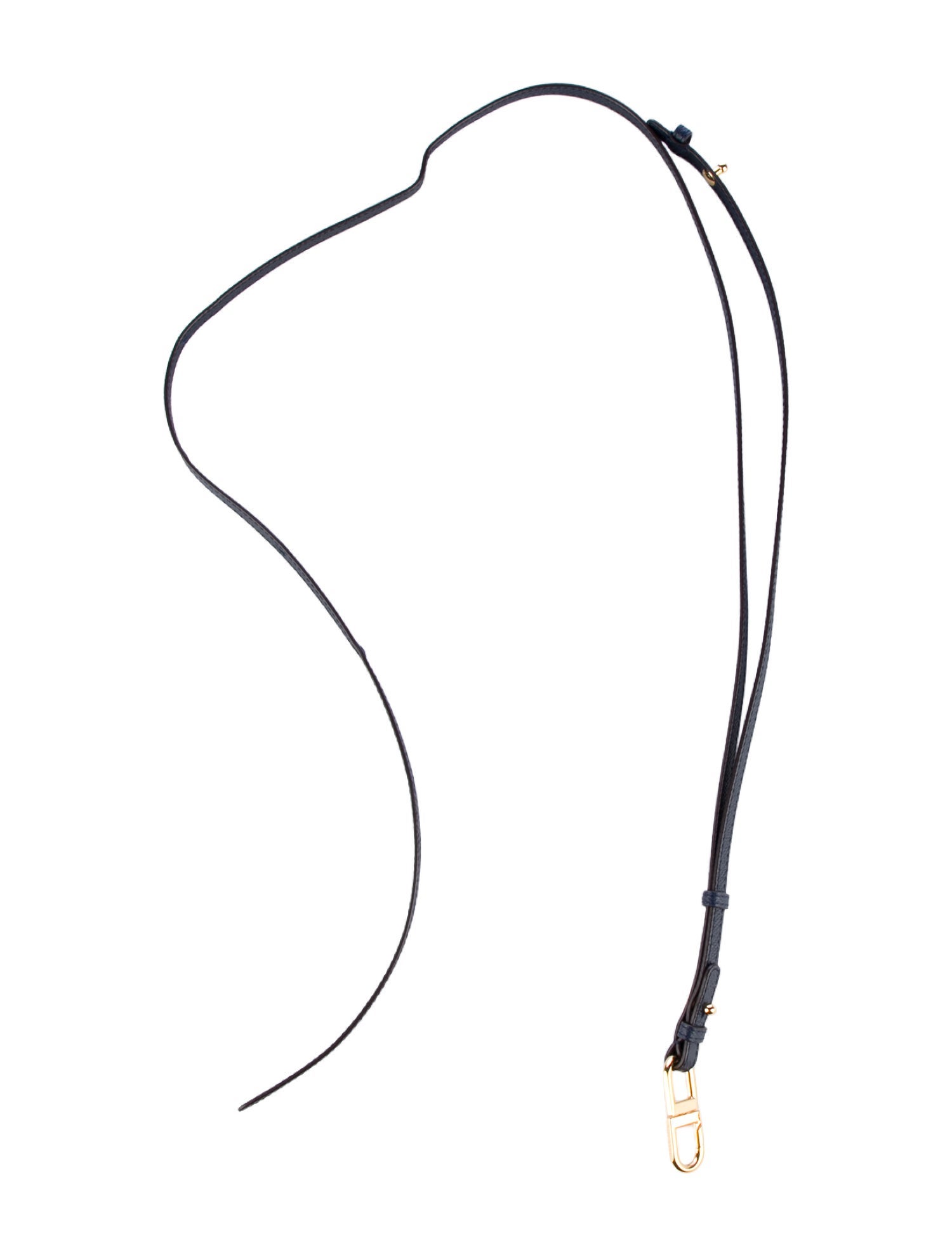 Delvaux Leather Bag Strap