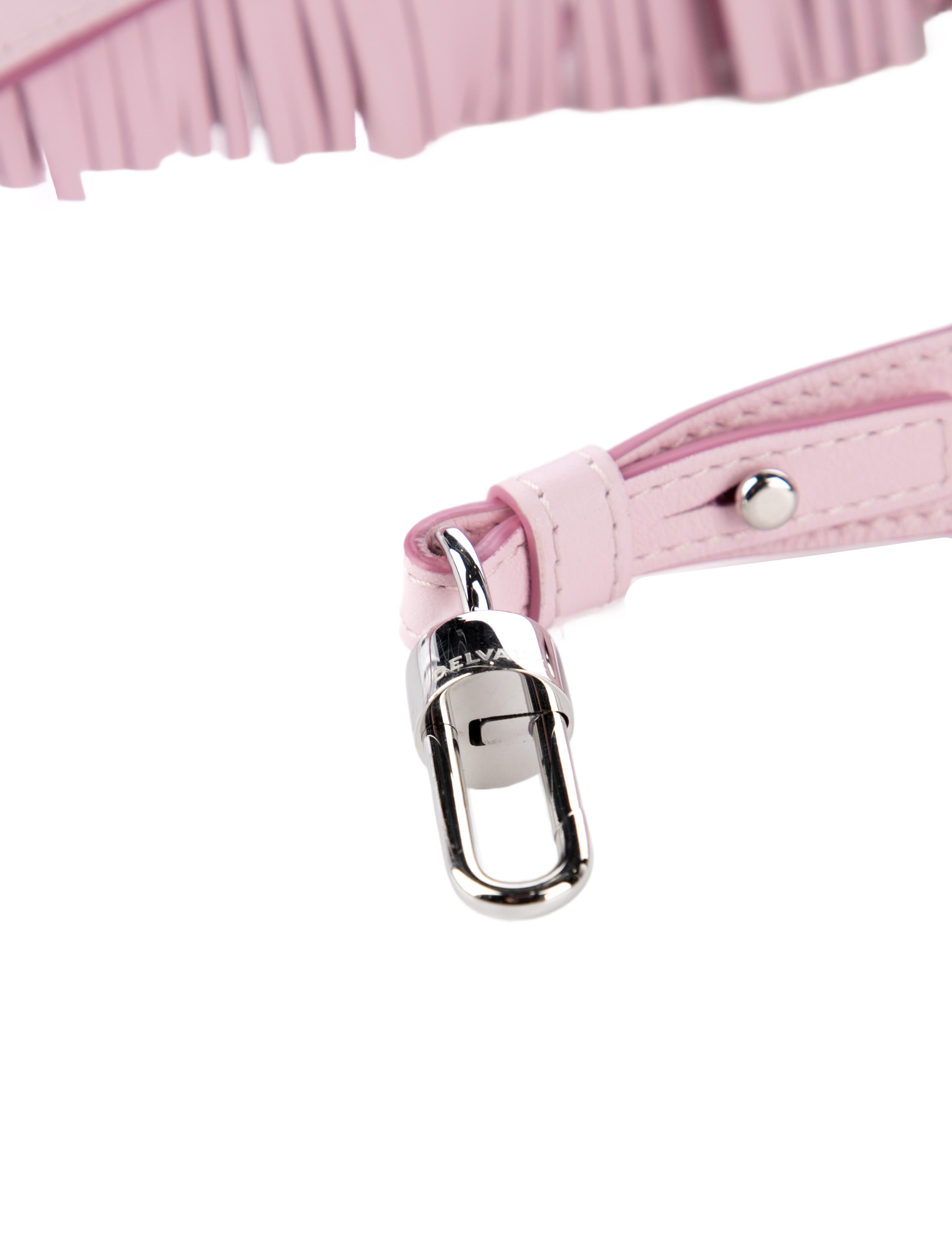Delvaux Leather Bag Strap