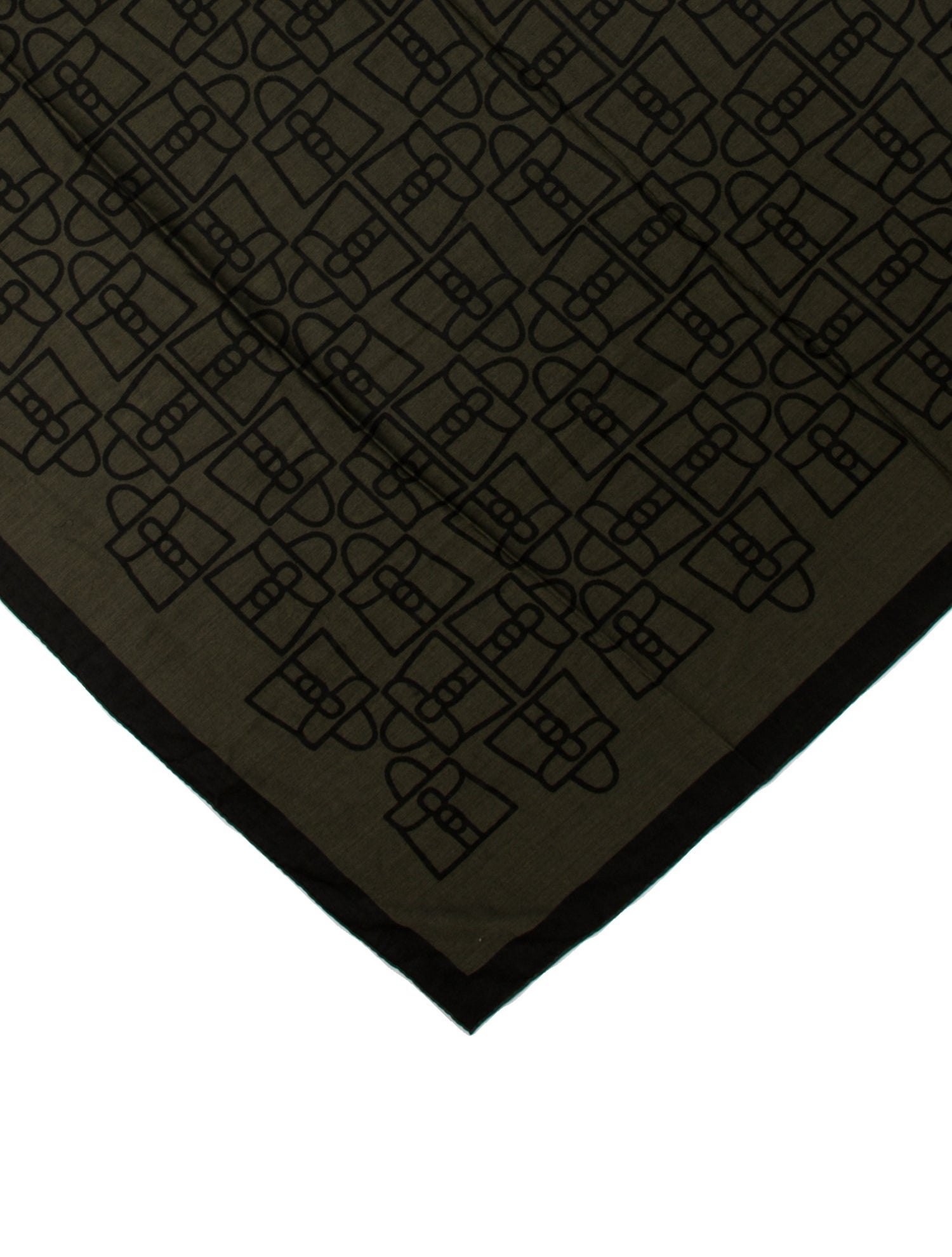 Delvaux Wool Printed Scarf