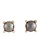 David Yurman 18K Pearl Stud Earrings