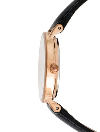 Daniel Wellington Petite St Mawes Watch