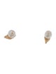 Earrings 14K Tiny Shell Stud Earrings