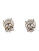 Earrings 14K 3.61ctw Lab-Grown Diamond Solitaire Stud Earrings