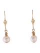 Earrings 14K Pearl Enhancer Drop Earrings
