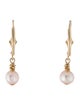 Earrings 14K Pearl Enhancer Drop Earrings