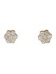 Earrings 14K 2.00ctw Lab grown Diamond Cluster Stud Earrings