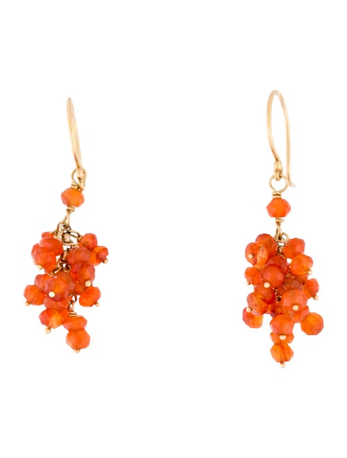 Earrings 14K Carnelian Drop Earrings