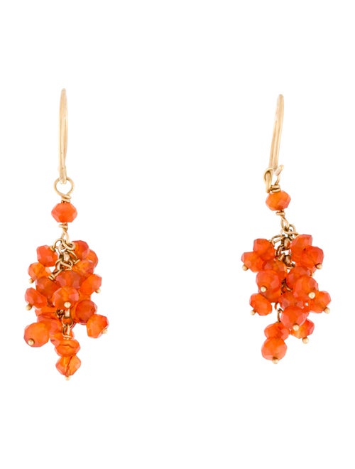Earrings 14K Carnelian Drop Earrings