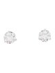 Earrings 14K 5.00ctw Lab-Grown Diamond Studs