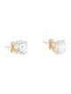 Earrings 14K 3.00ctw Lab-Grown Diamond Stud Earrings