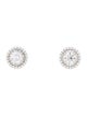 Earrings 14K 2.31ctw Diamond Halo Stud Earrings