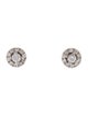 Earrings 14K 1.00 Lab-Grown Diamond Stud Earrings