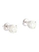 Earrings 14K 2.00ctw Lab-Grown Diamond Stud Earrings