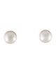 Earrings 18K Cultured Pearl Stud Earrings