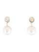 Earrings 14K Pearl & Opal Doublet Drop Earrings