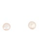 Earrings 14K Pearl Stud Earrings