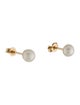 Earrings 14K Pearl Stud Earrings