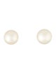 Earrings 14K Pearl Stud Earrings