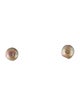 Earrings  14K Pearl Stud Earrings