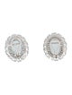 Earrings 14K Aquamarine & Diamond Ear Clip Earrings