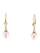 Earrings 14K Pearl Drop Earrings