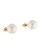 Earrings 14K Pearl Stud Earrings