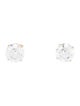 Earrings 14K 5.02ctw Lab-Grown Diamond Stud Earrings
