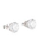Earrings 14K 5.29ctw Lab-Grown Diamond Stud Earrings