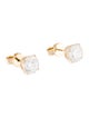 Earrings 14K 3.03ctw Lab-Grown Diamond Stud Earrings