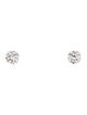Earrings 14K 5.06ctw Lab-Grown Diamond Stud Earrings