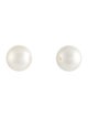 Earrings 14K Pearl Stud Earrings