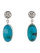 Earrings Turquoise Drop Earrings