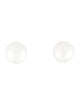 Earrings Platinum Pearl Stud Earrings