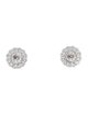 Earrings 14K 3.80ctw Lab-Grown Diamond Stud Earrings