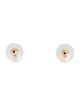 Earrings 14K Pearl Stud Earrings