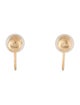 Earrings 14K Pearl Screw Back Earrings