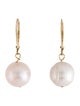 Earrings 14K Pearl Drop Earrings