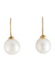 Earrings 14K Pearl Drop Earrings
