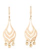 Earrings 18K Drop Earrings