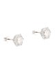 Earrings 14K 5.06ctw Lab-Grown Diamond Stud Earrings
