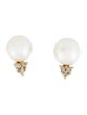 Earrings 14K Pearl & Diamond Stud Earrings