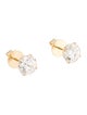 Earrings 14K 4.04ctw Lab-Grown Diamond Stud Earrings