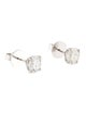 Earrings 14K 3.04ctw Lab-Grown Diamond Stud Earrings