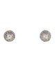 Earrings 14K Diamond Pavé Stud Earrings