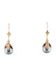 Earrings 14K Pearl Drop Earrings