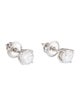 Earrings 14K Lab-Grown Diamond Stud Earrings